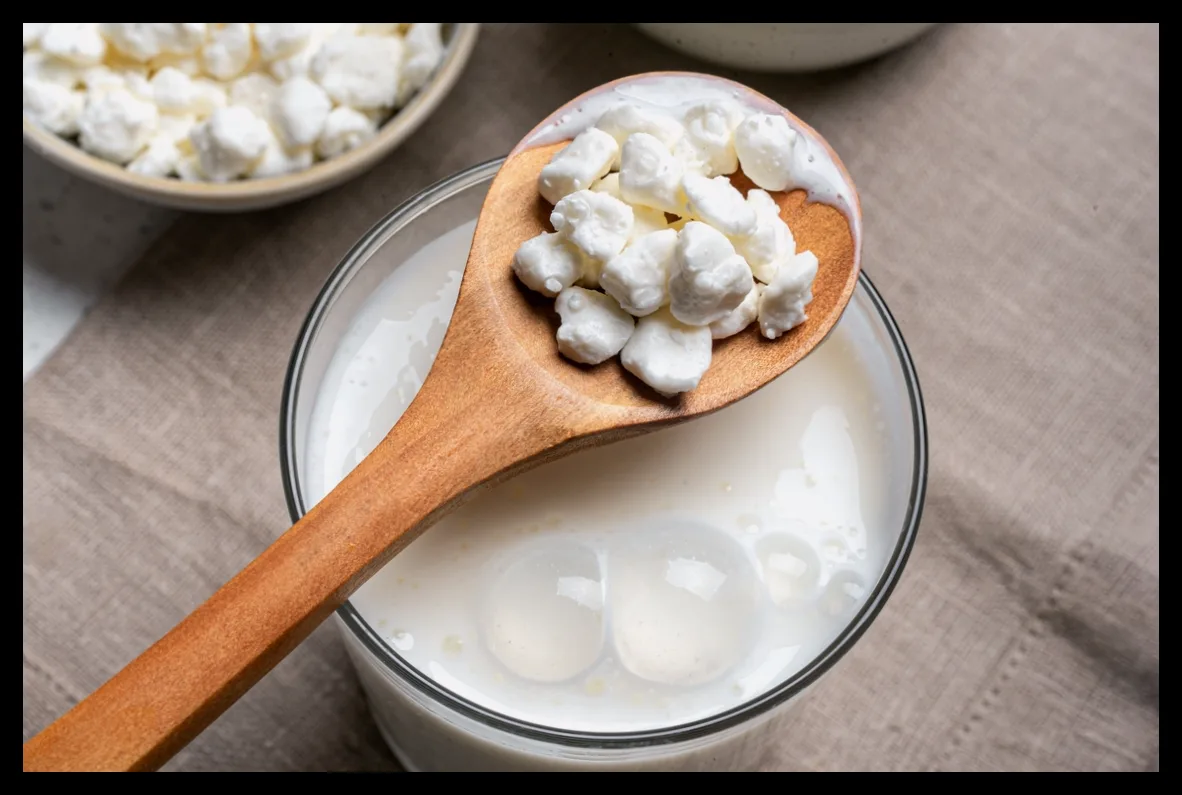 کفیر شیر: نکات مهم برای تشخیص محصول اصل در فروشگاهها